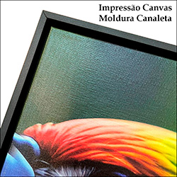 Moldura Canaleta